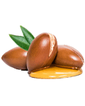 Argan Argan
