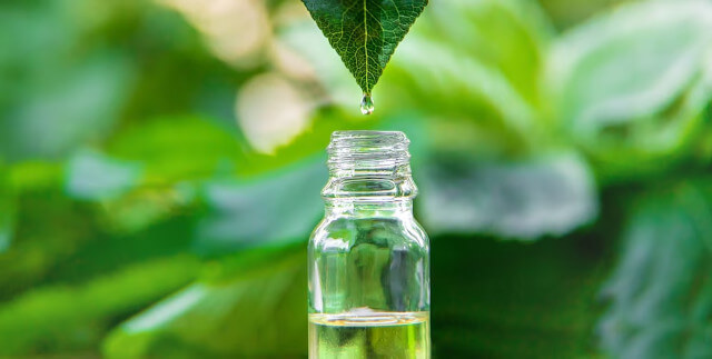 Tea Tree Oil for Hair