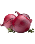 Onion Onion